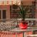 Apartmani Tomić, , privat innkvartering i sted Rafailovići, Montenegro - viber_image_2023-01-17_00-08-14-063